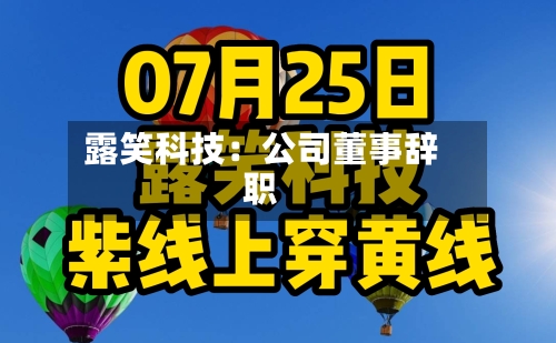 露笑科技:公司董事辞职