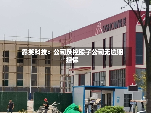 露笑科技:公司及控股子公司无逾期担保