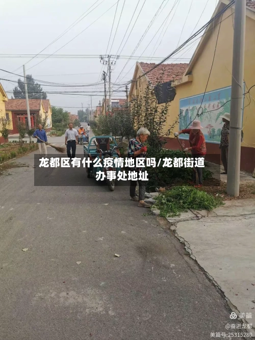 龙都区有什么疫情地区吗/龙都街道办事处地址