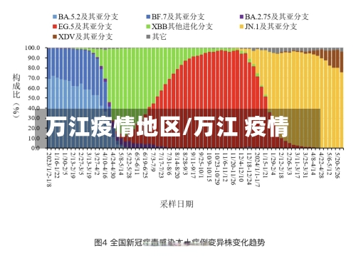 万江疫情地区/万江 疫情