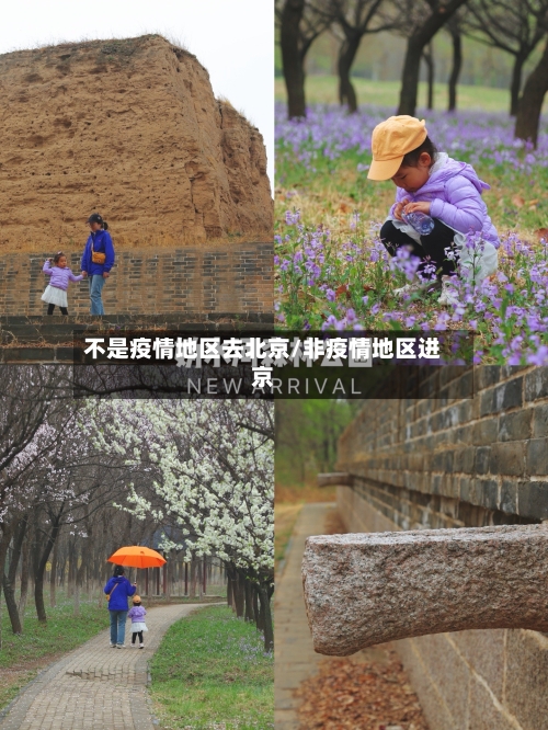 不是疫情地区去北京/非疫情地区进京