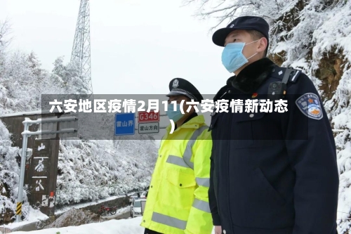 六安地区疫情2月11(六安疫情新动态)