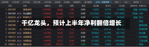 千亿龙头,预计上半年净利翻倍增长