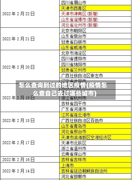 怎么查询到过的地区疫情(疫情怎么查自己去过哪些城市)