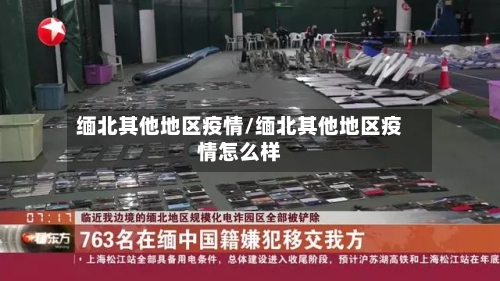 缅北其他地区疫情/缅北其他地区疫情怎么样