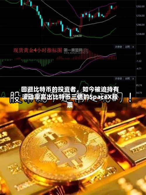 回避比特币的投资者，如今被迫持有波动率高出比特币三倍的SpaceX股票
