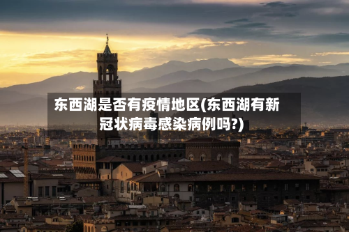 东西湖是否有疫情地区(东西湖有新冠状病毒感染病例吗?)