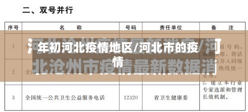 年初河北疫情地区/河北市的疫情