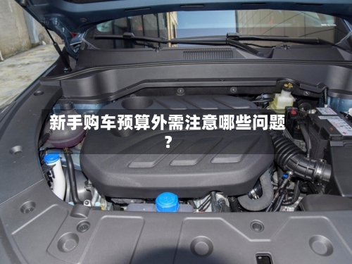 新手购车预算外需注意哪些问题?