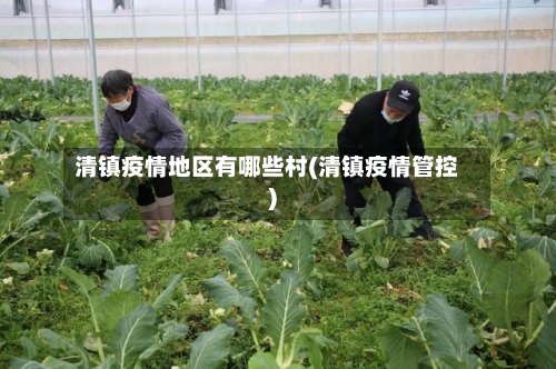 清镇疫情地区有哪些村(清镇疫情管控)