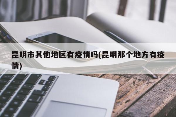 昆明市其他地区有疫情吗(昆明那个地方有疫情)
