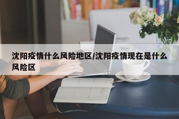 沈阳疫情什么风险地区/沈阳疫情现在是什么风险区