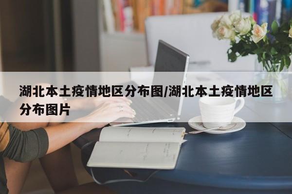 湖北本土疫情地区分布图/湖北本土疫情地区分布图片
