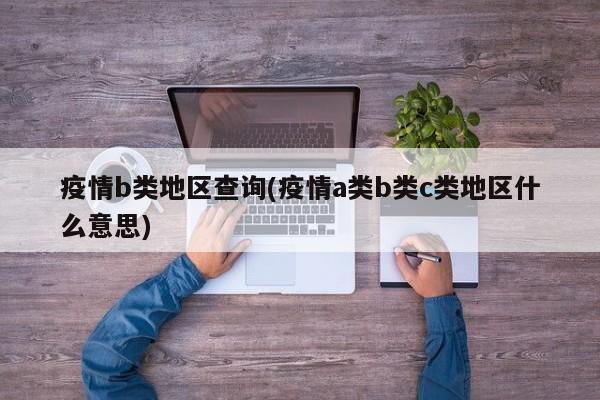 疫情b类地区查询(疫情a类b类c类地区什么意思)