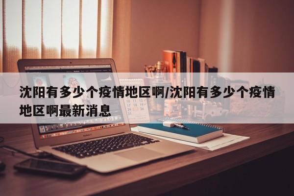沈阳有多少个疫情地区啊/沈阳有多少个疫情地区啊最新消息